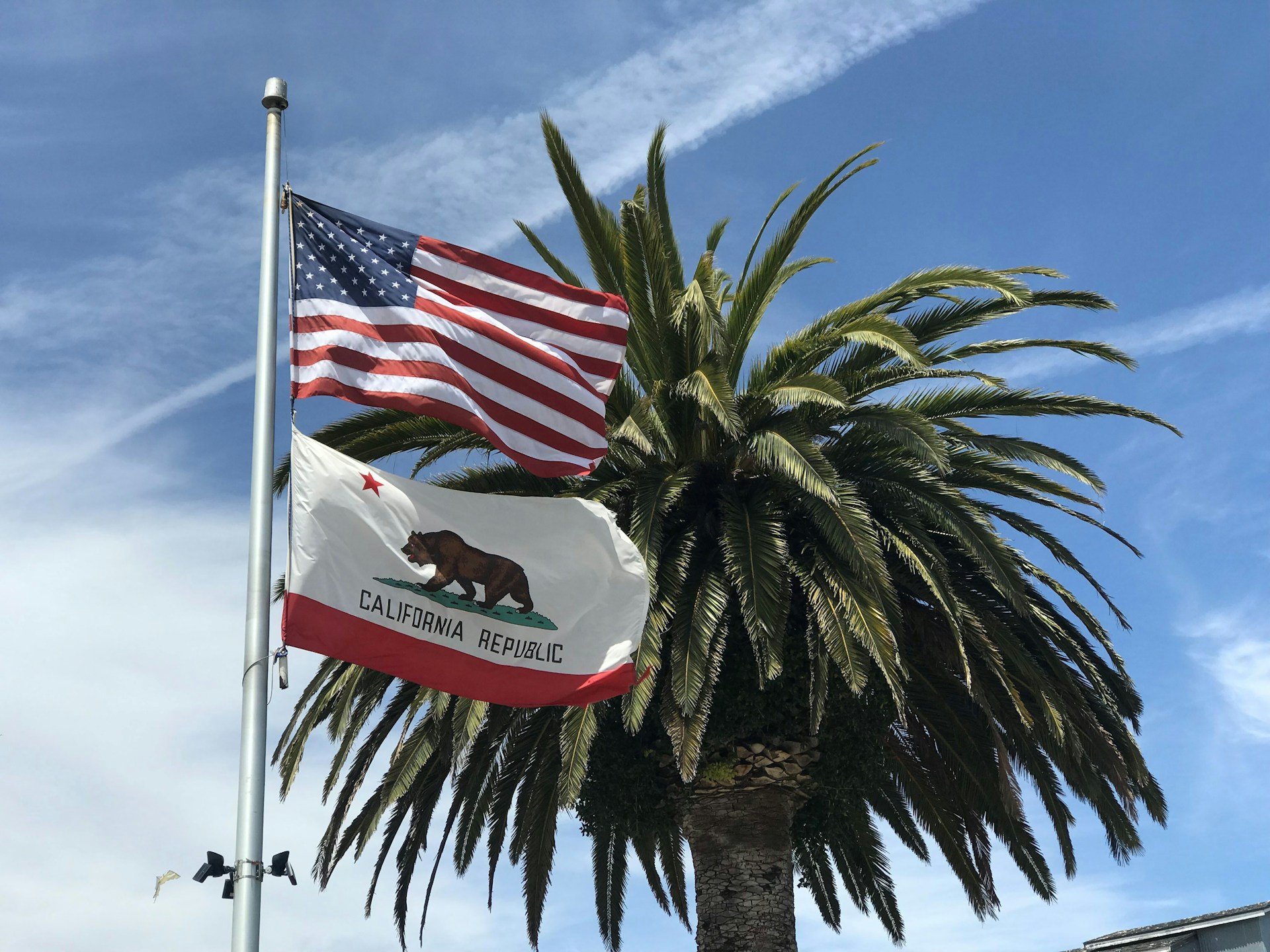 Kalifornian lippu, jossa on karhu, punainen tähti ja teksti California Republic