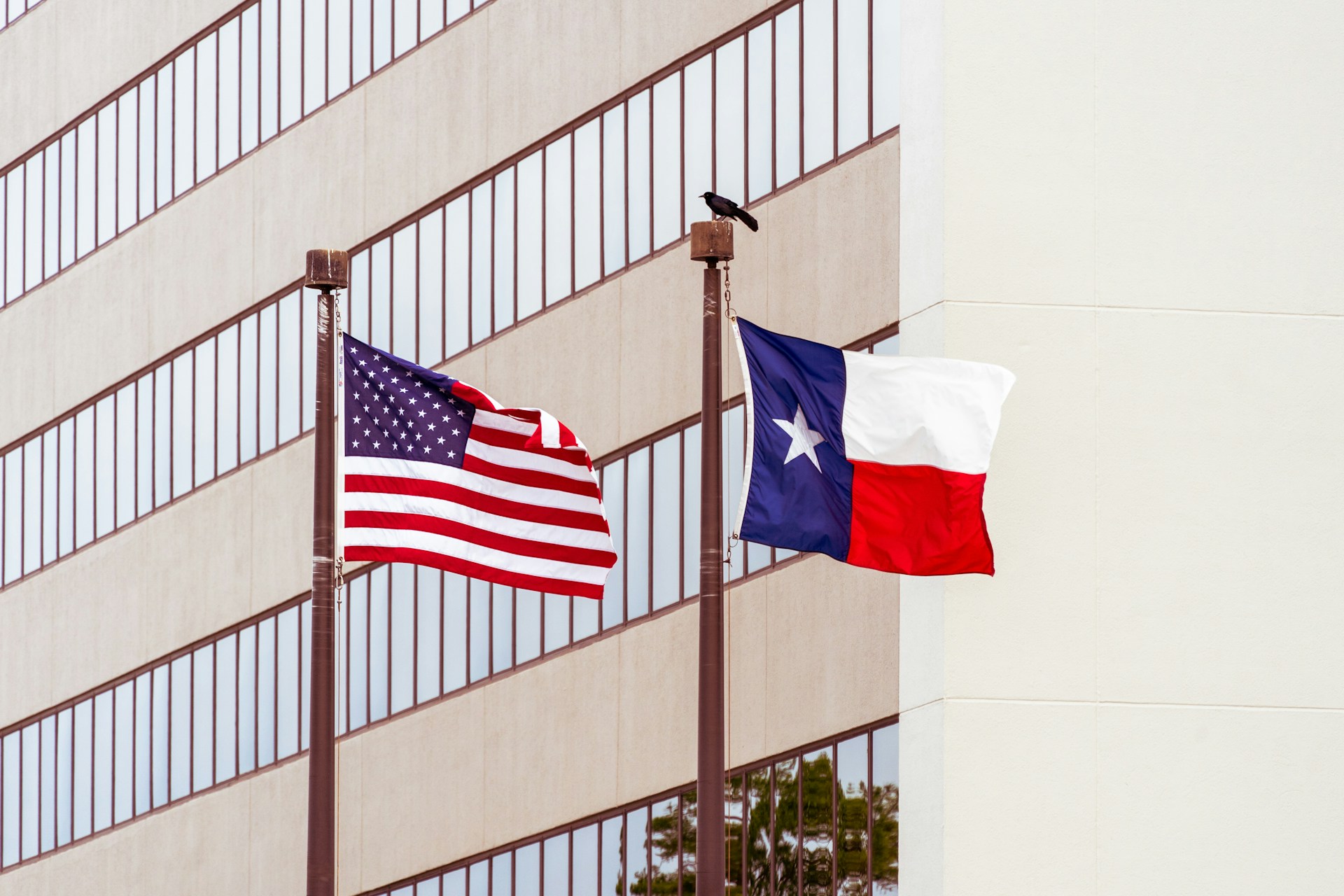 Texasin lippu eli Lone Star Flag, jossa on yksi valkoinen tähti sinisellä kentällä