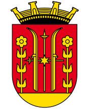 Skien kommunevåpen