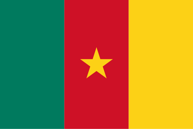 Drapeau : Cameroun