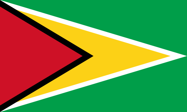 Drapeau : Guyana