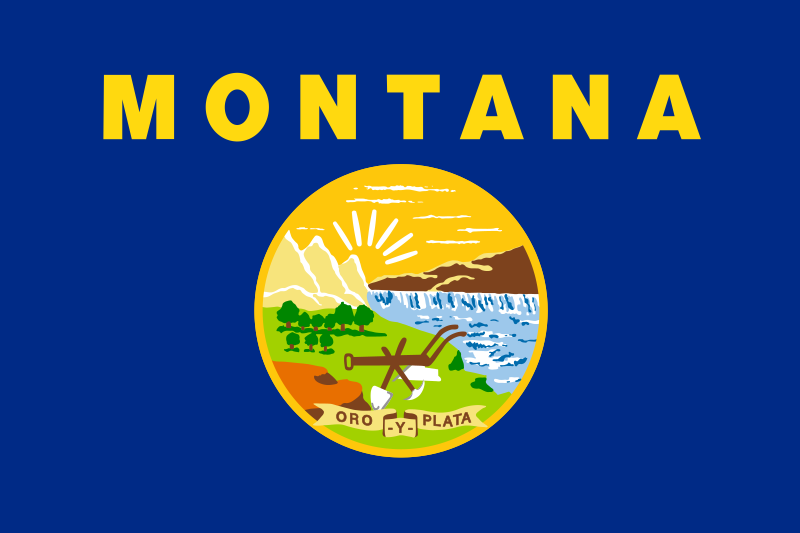 Montana – lippu