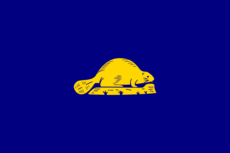 Oregonin lippu